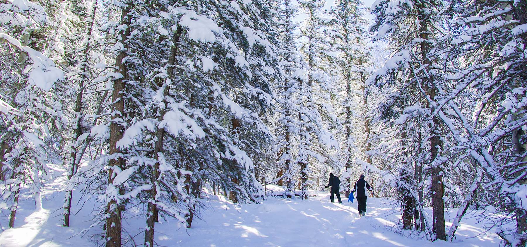 Snowshoeing near South Fork
