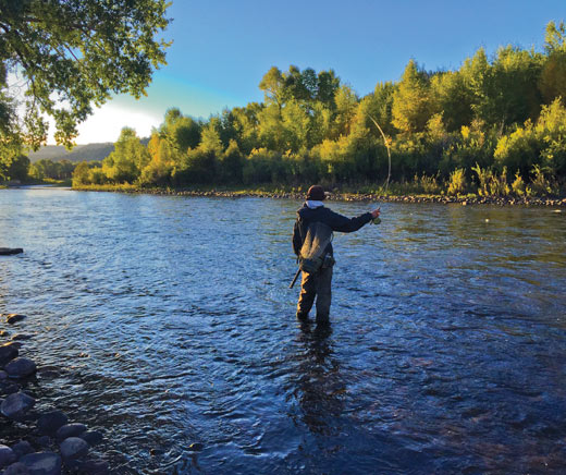 Fly Fishing on the Rio Grande Gold Medals Water