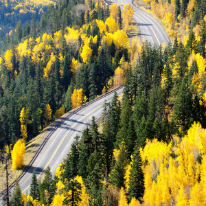 vecteezy_road-mountain-autumn-top-view-at-wolf-creek-colorado_839867