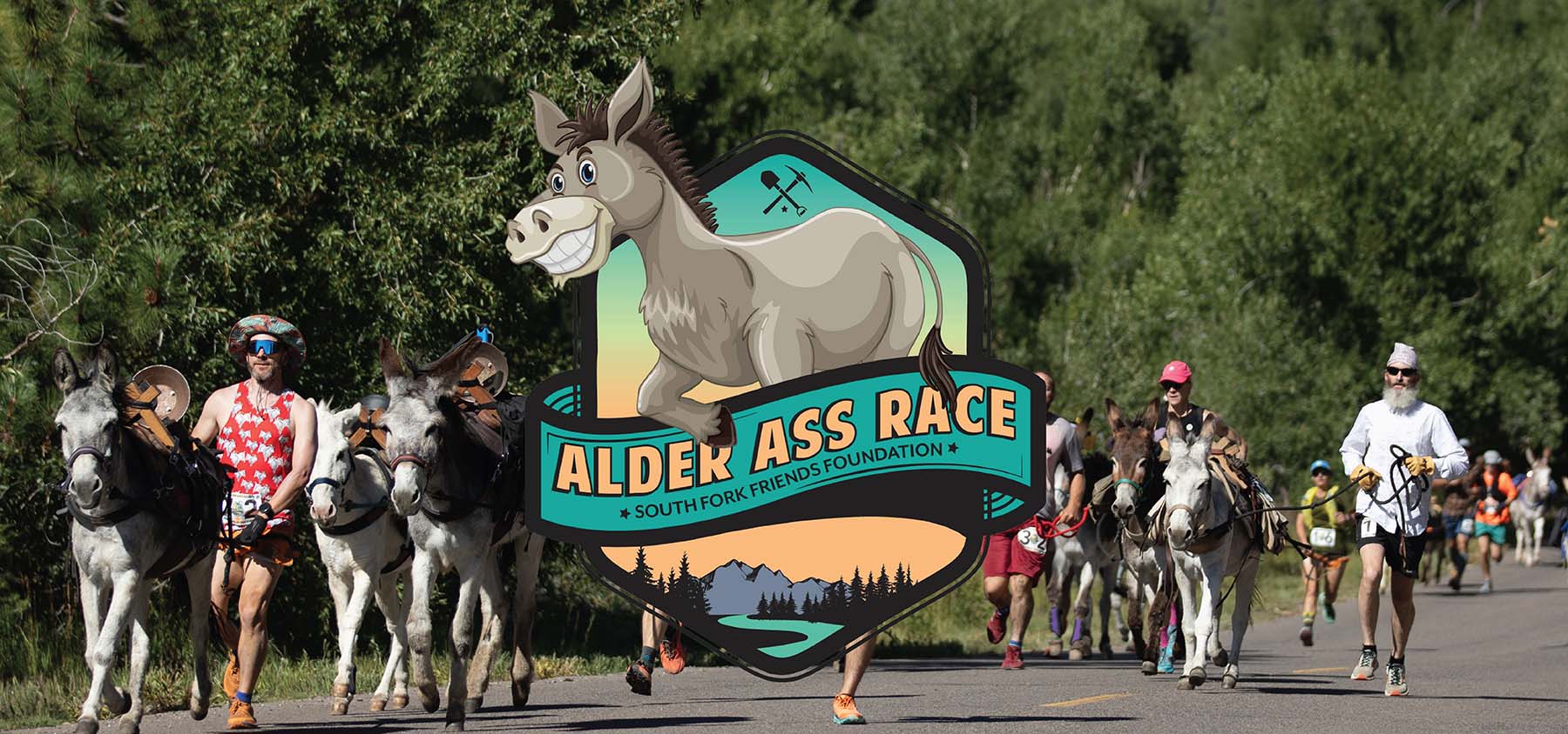 Alder Ass Race