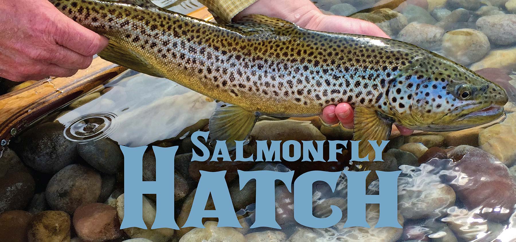 South Fork Salmon Fly Hatch