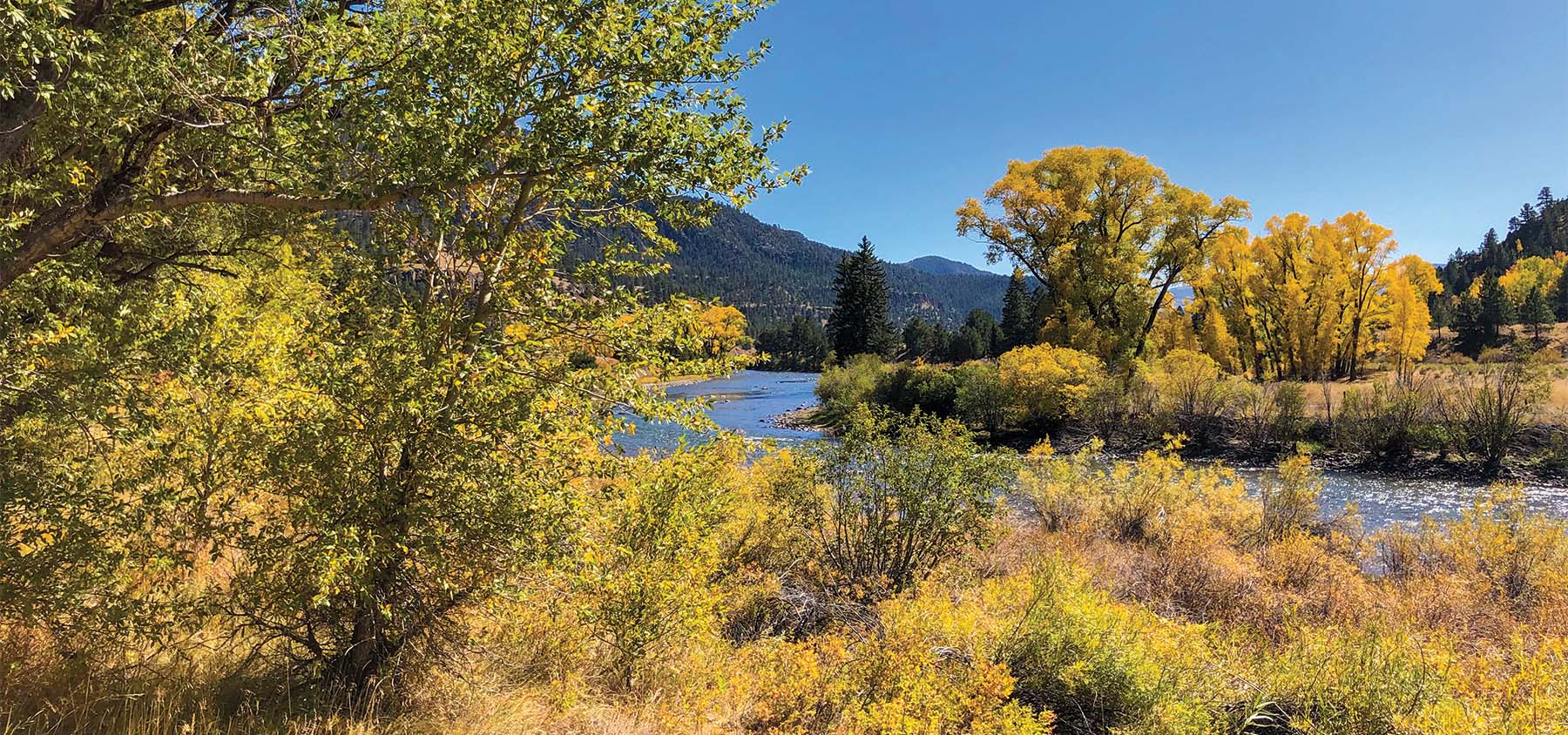 Coller State Wildlife Refuge