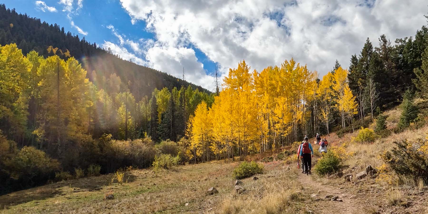 Fall Hike on Middle Frisco Creek near South Fork, Colorado