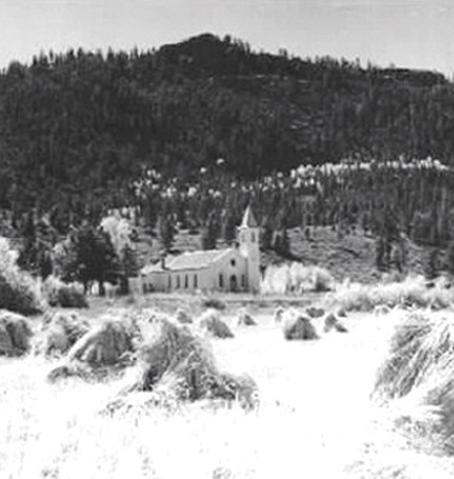 Campos grain pic final