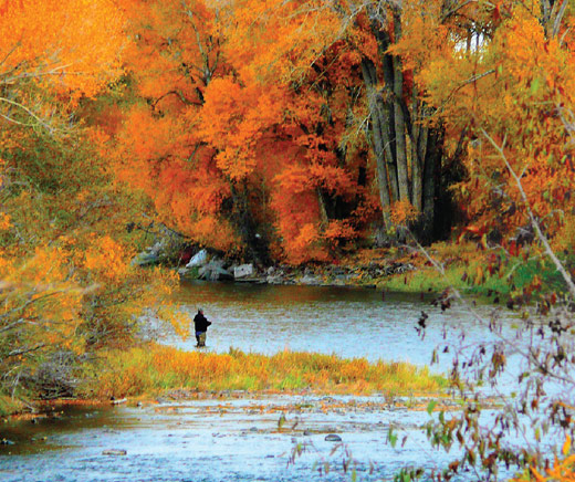 08.Fall Flyfishing