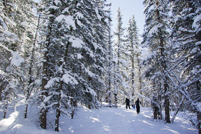 Snowshoeing in South Fork, Colorado