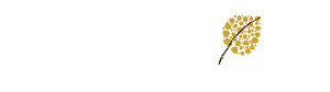 south fork logo