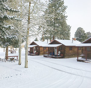 grandview cabins south fork