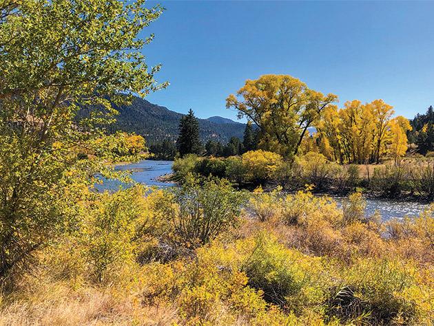 State & National Parks