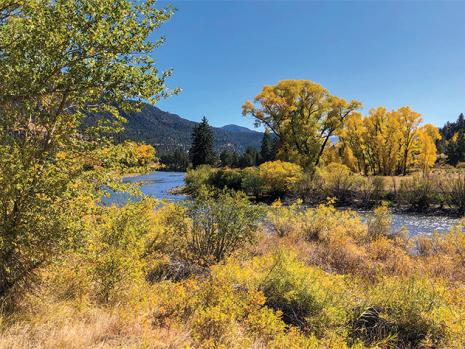 State & National Parks