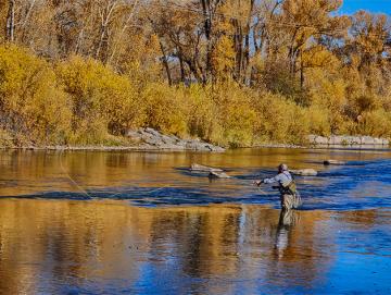 Fishing