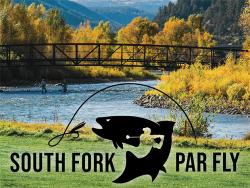 Par Fly Tournament