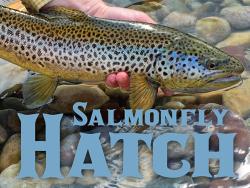 Salmonfly Hatch Days