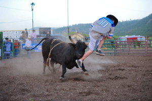 South_Fork_Open_BUll_176