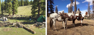 drop-camp-hunting-colorado