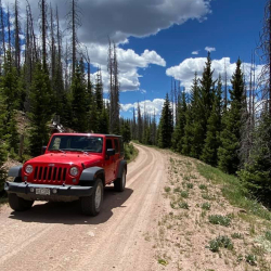 ElkCountryJeeps1