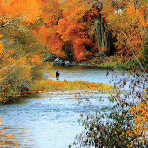 Colorado_Fishing_JohnMcEvoyP1140575_f