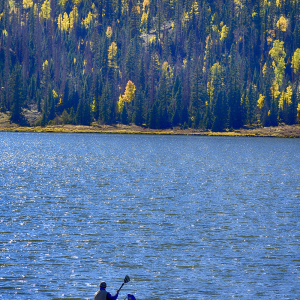 Colorado_Fishing_McEvoy_DSC3356-F_BigMeadows