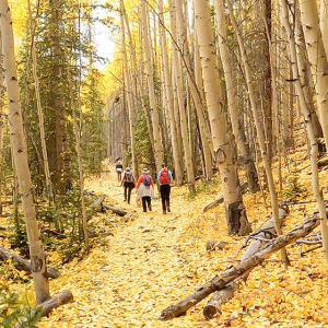 26_JoshuaNelson_GX010430_Fall_4_MidFrisco