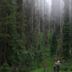 Continental-Divide-Trail-Wolf-Creek-Pass-IMGP5939