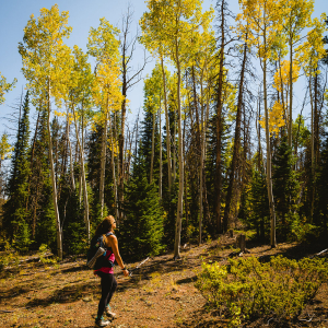 MSLV-Fall-hike