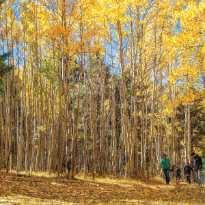 B4Studio_RioGrandeNationalForestFun3