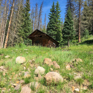 gregory-green-ellwood-pass-cabin