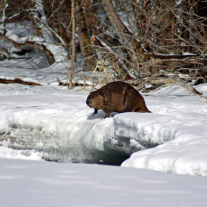 MNiederquell_IMG_3478_edited-3