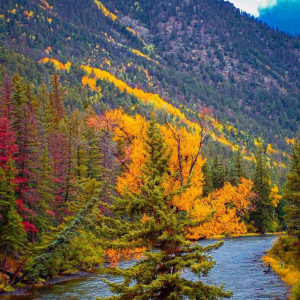 MM10-Fall-colors