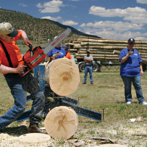 larry-jones-logger-event