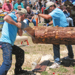 south-fork-logger-days-festival2