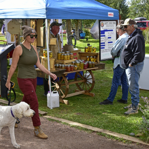 JohnMcEvoy_Market_DSC7886-F