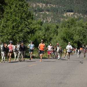 Ashography_Burro-Race-South-Fork-Ashography-6014