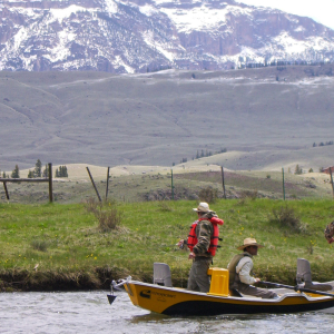 spring-fishing-b4studio